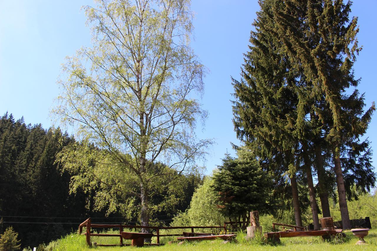 Penzion Pohadka Železná Ruda Exterior foto